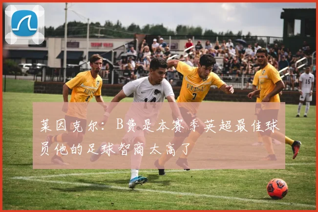 莱因克尔：B费是本赛季英超最佳球员他的足球智商太高了